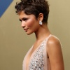 z_0246.jpg