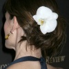 jennifer_0066.jpg