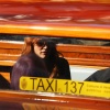 jessica_0048.jpg